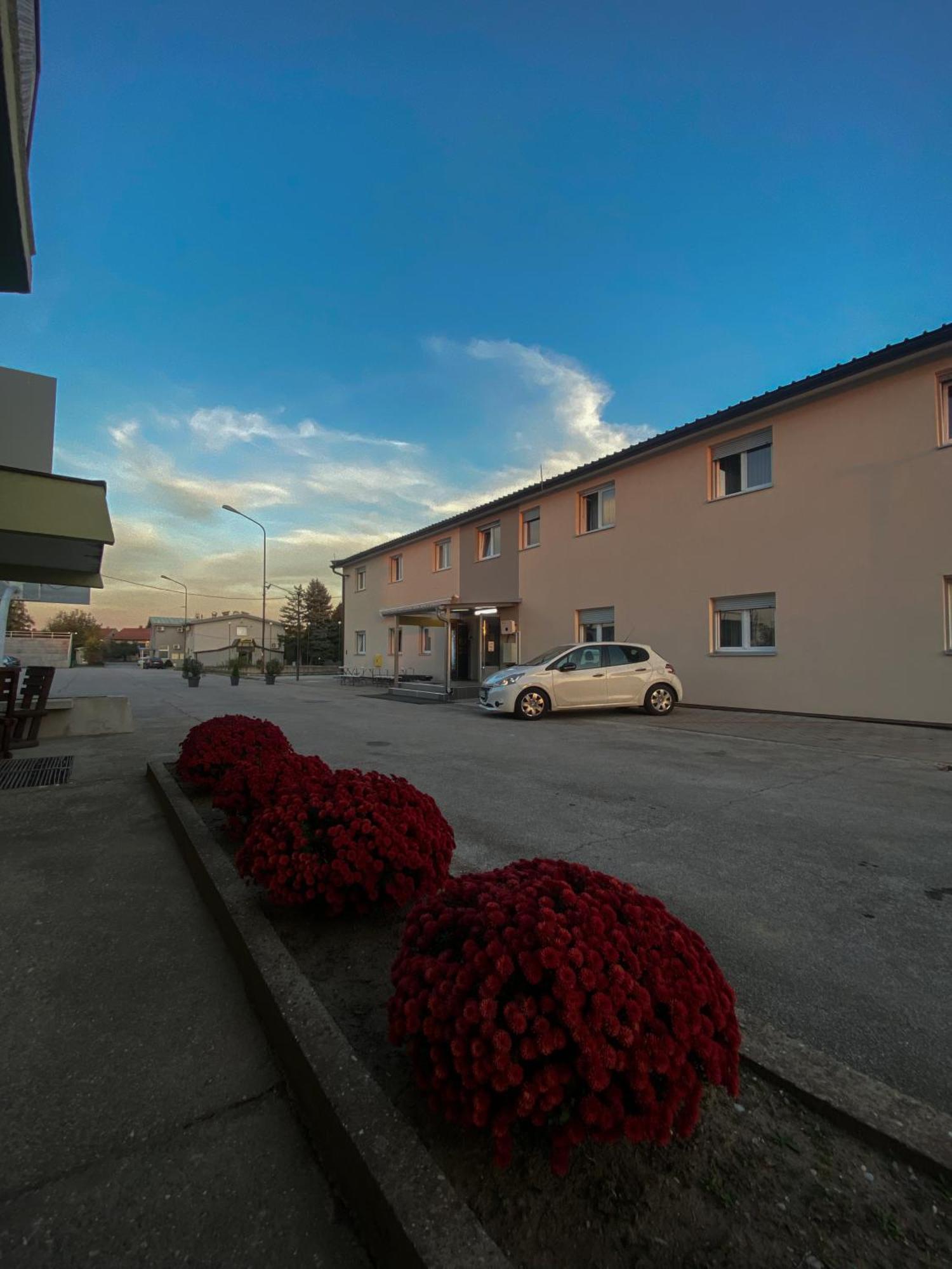 Vila Safir Лозница Екстериор снимка